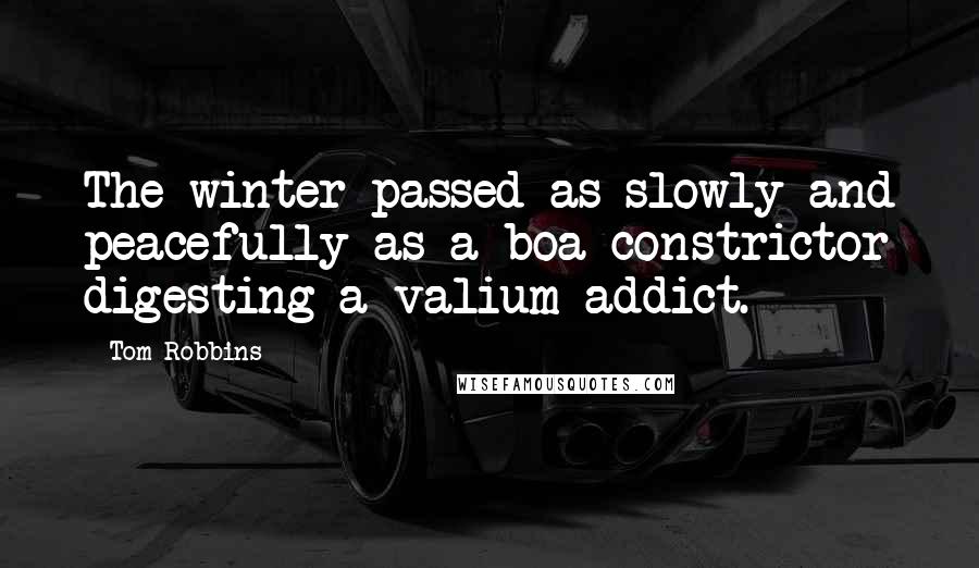 Tom Robbins Quotes: The winter passed as slowly and peacefully as a boa constrictor digesting a valium addict.