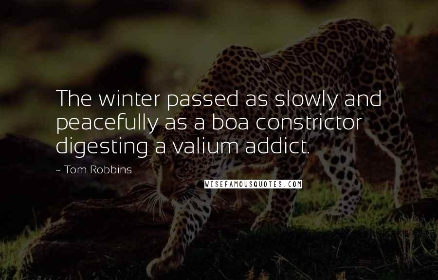 Tom Robbins Quotes: The winter passed as slowly and peacefully as a boa constrictor digesting a valium addict.