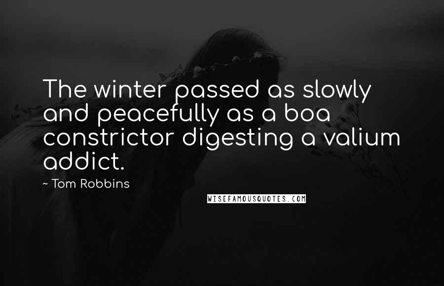 Tom Robbins Quotes: The winter passed as slowly and peacefully as a boa constrictor digesting a valium addict.