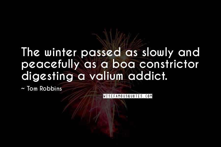 Tom Robbins Quotes: The winter passed as slowly and peacefully as a boa constrictor digesting a valium addict.