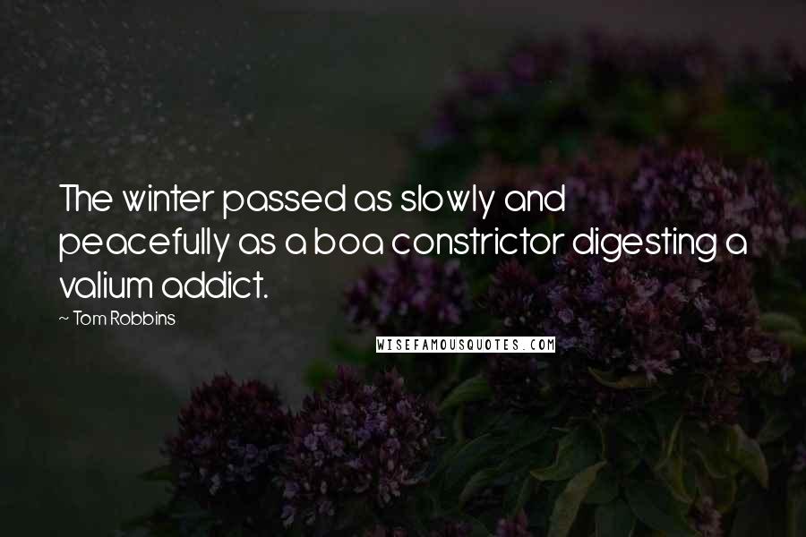 Tom Robbins Quotes: The winter passed as slowly and peacefully as a boa constrictor digesting a valium addict.