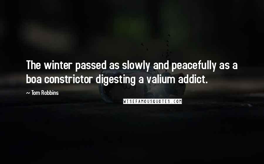 Tom Robbins Quotes: The winter passed as slowly and peacefully as a boa constrictor digesting a valium addict.