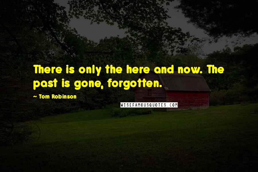 Tom Robinson Quotes: There is only the here and now. The past is gone, forgotten.