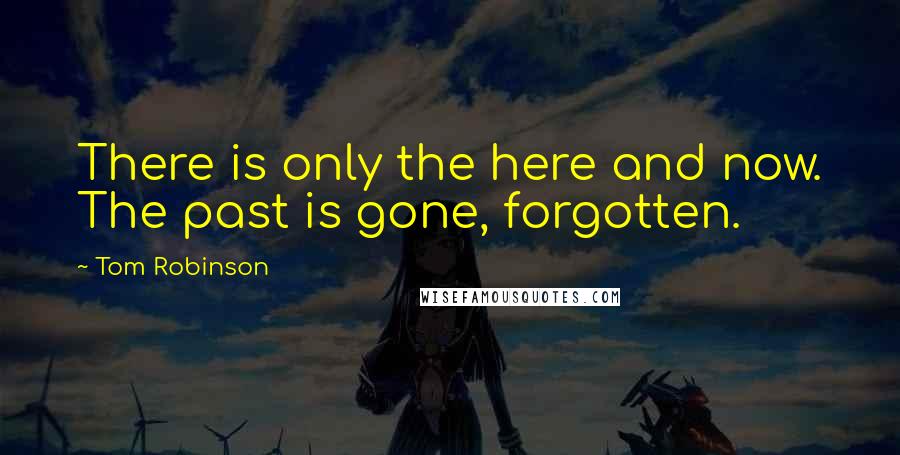 Tom Robinson Quotes: There is only the here and now. The past is gone, forgotten.