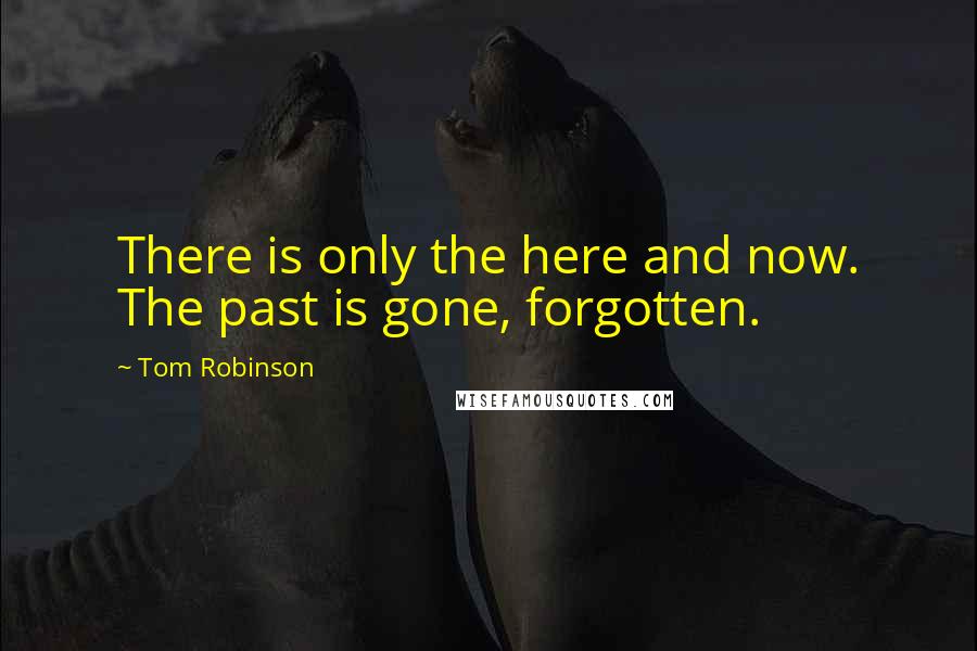 Tom Robinson Quotes: There is only the here and now. The past is gone, forgotten.