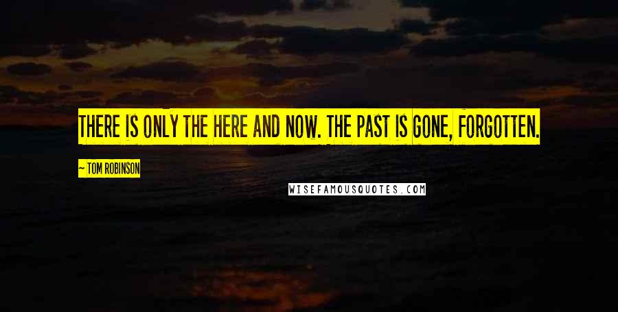 Tom Robinson Quotes: There is only the here and now. The past is gone, forgotten.