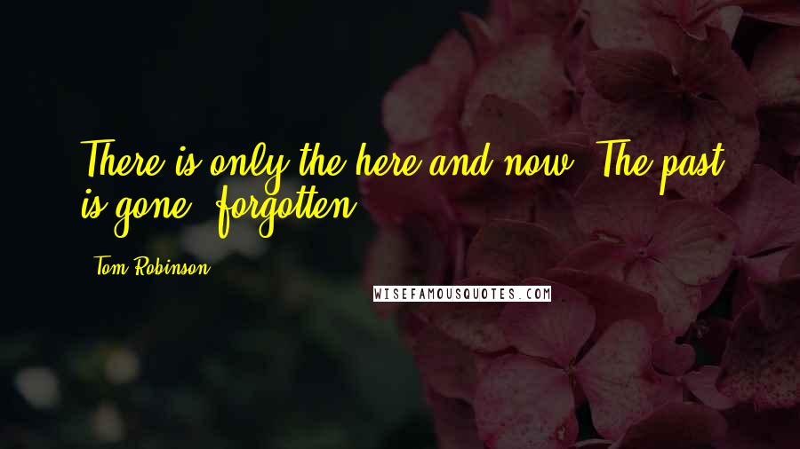 Tom Robinson Quotes: There is only the here and now. The past is gone, forgotten.