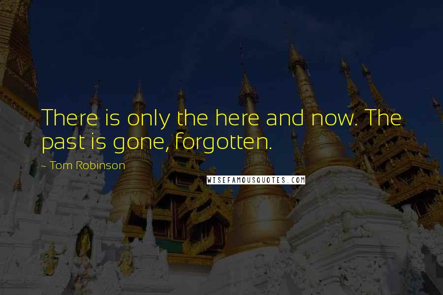 Tom Robinson Quotes: There is only the here and now. The past is gone, forgotten.