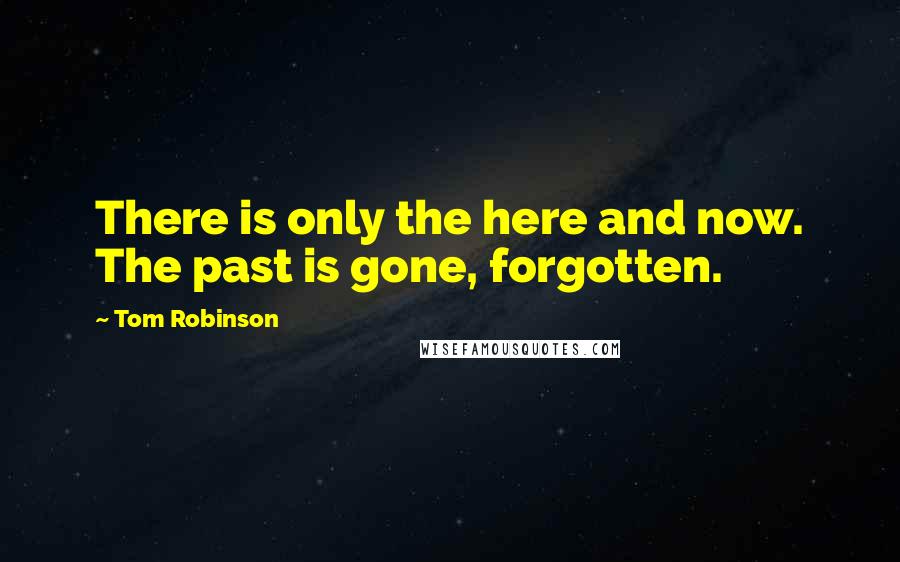 Tom Robinson Quotes: There is only the here and now. The past is gone, forgotten.