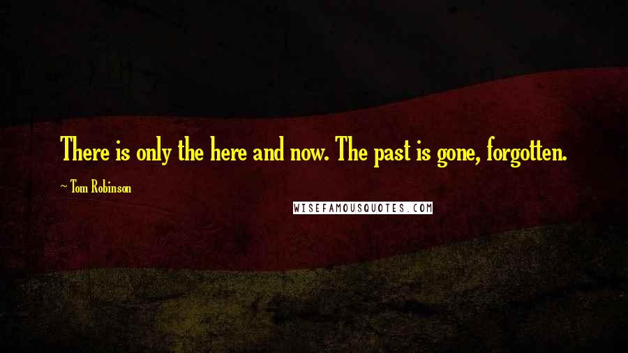 Tom Robinson Quotes: There is only the here and now. The past is gone, forgotten.