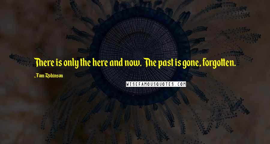 Tom Robinson Quotes: There is only the here and now. The past is gone, forgotten.