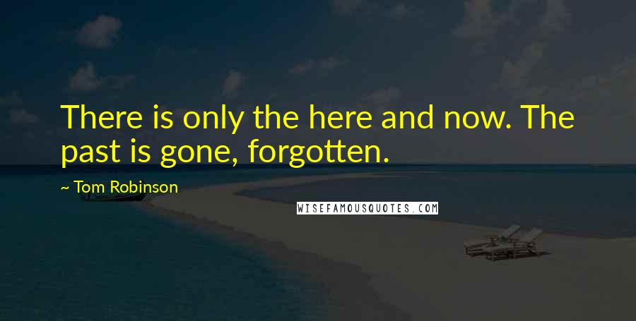 Tom Robinson Quotes: There is only the here and now. The past is gone, forgotten.