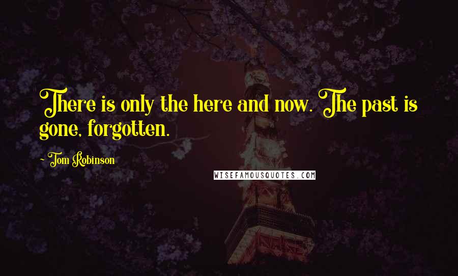 Tom Robinson Quotes: There is only the here and now. The past is gone, forgotten.