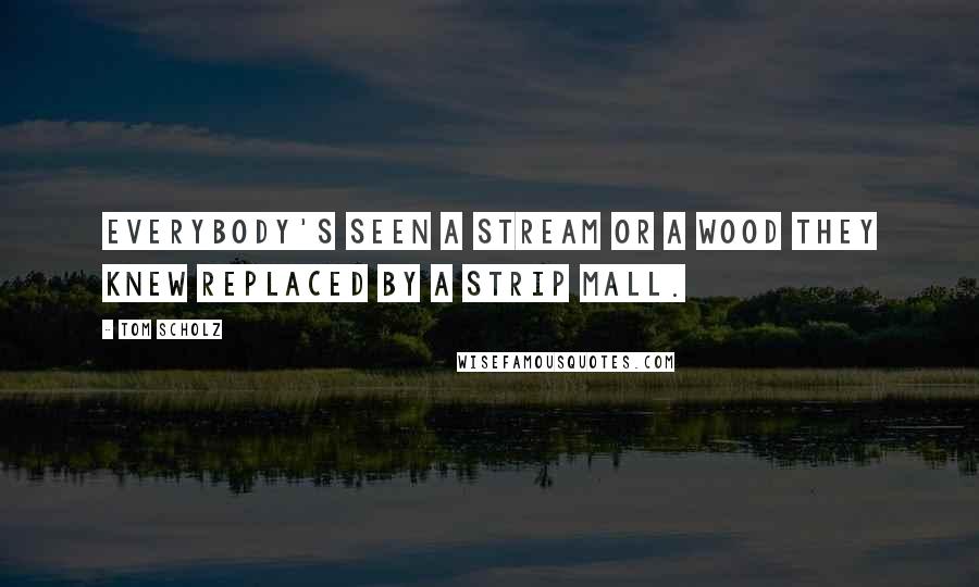 Tom Scholz Quotes: Everybody's seen a stream or a wood they knew replaced by a strip mall.