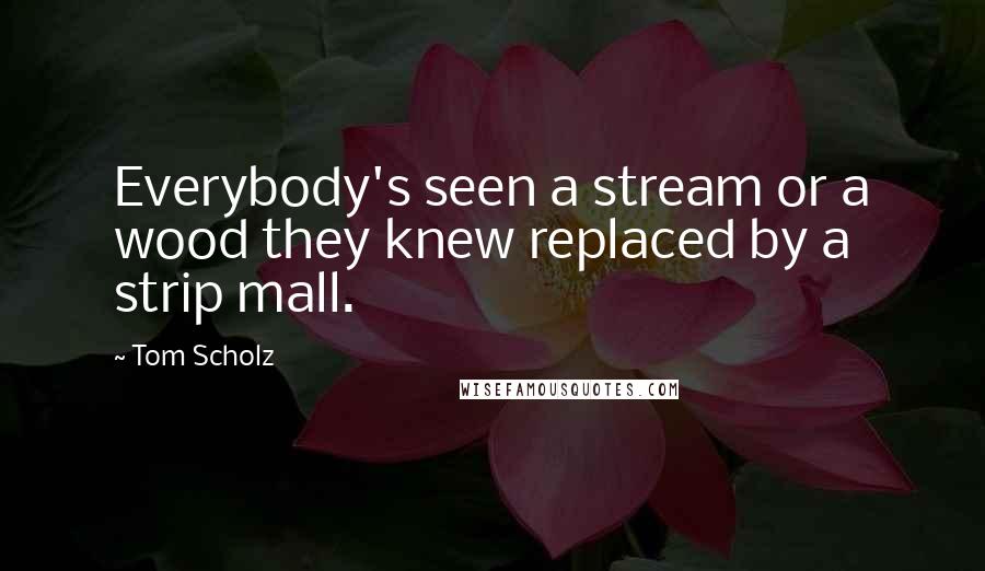 Tom Scholz Quotes: Everybody's seen a stream or a wood they knew replaced by a strip mall.