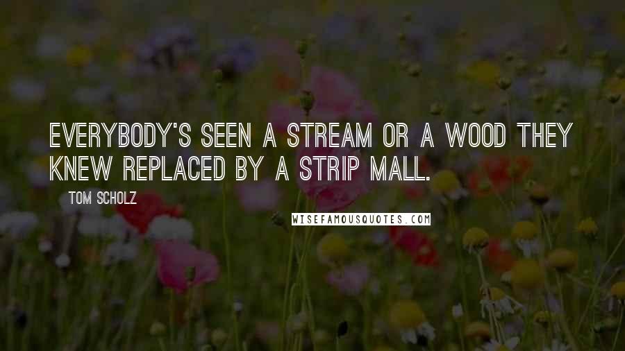 Tom Scholz Quotes: Everybody's seen a stream or a wood they knew replaced by a strip mall.