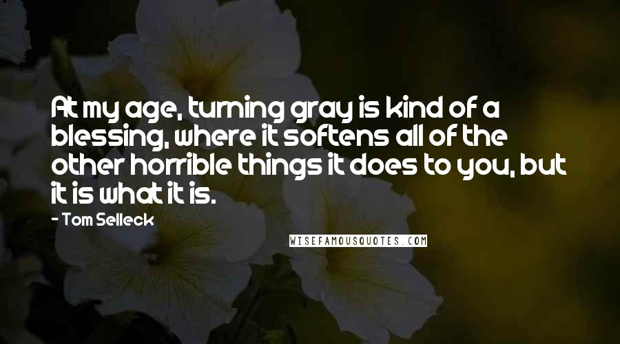 Tom Selleck Quotes: At my age, turning gray is kind of a blessing, where it softens all of the other horrible things it does to you, but it is what it is.