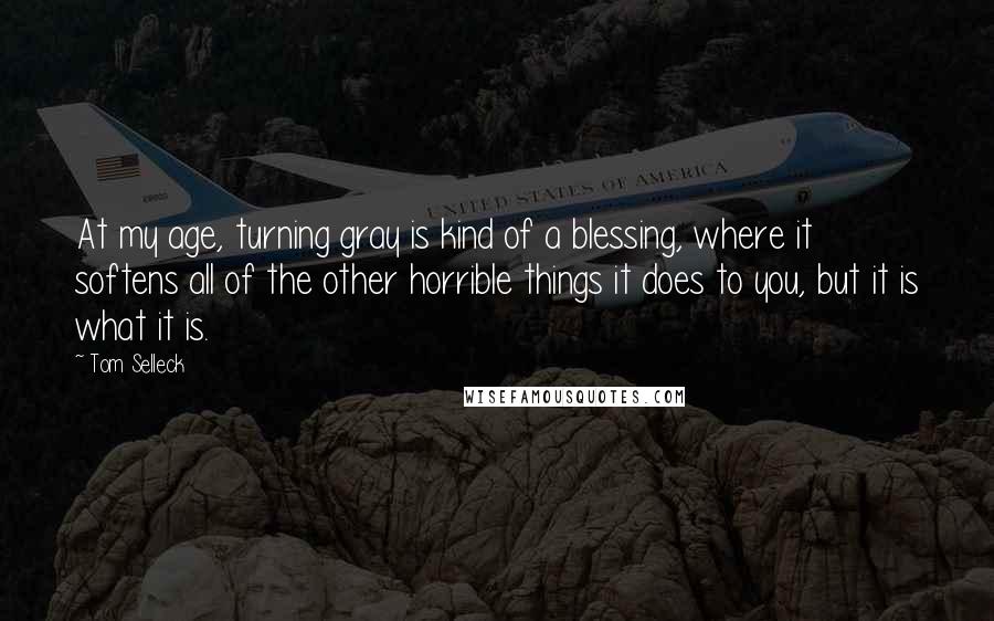 Tom Selleck Quotes: At my age, turning gray is kind of a blessing, where it softens all of the other horrible things it does to you, but it is what it is.