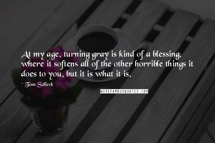 Tom Selleck Quotes: At my age, turning gray is kind of a blessing, where it softens all of the other horrible things it does to you, but it is what it is.