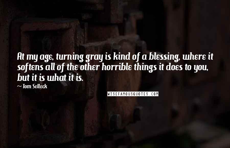 Tom Selleck Quotes: At my age, turning gray is kind of a blessing, where it softens all of the other horrible things it does to you, but it is what it is.