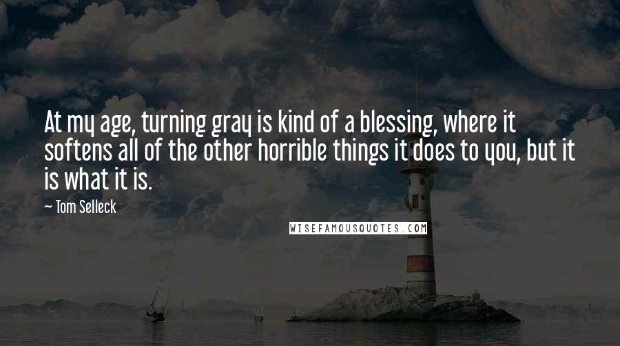 Tom Selleck Quotes: At my age, turning gray is kind of a blessing, where it softens all of the other horrible things it does to you, but it is what it is.