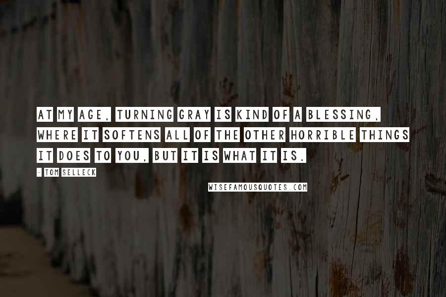 Tom Selleck Quotes: At my age, turning gray is kind of a blessing, where it softens all of the other horrible things it does to you, but it is what it is.