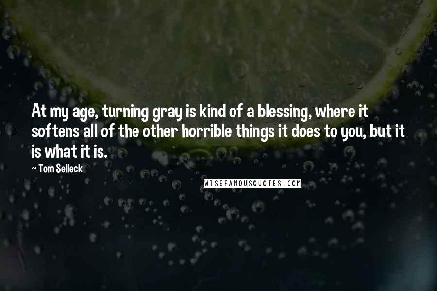 Tom Selleck Quotes: At my age, turning gray is kind of a blessing, where it softens all of the other horrible things it does to you, but it is what it is.