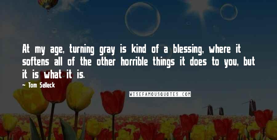 Tom Selleck Quotes: At my age, turning gray is kind of a blessing, where it softens all of the other horrible things it does to you, but it is what it is.