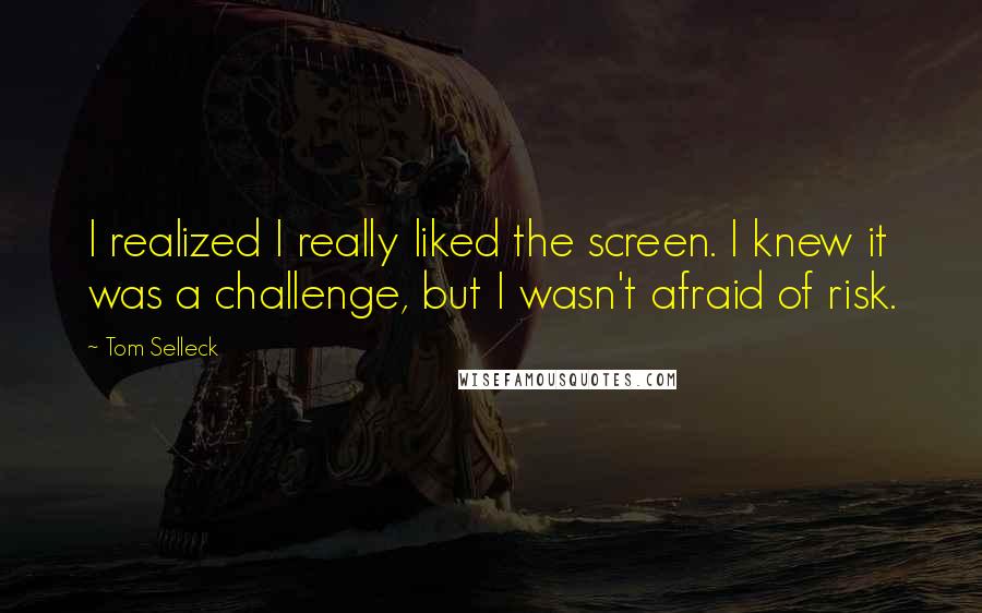 Tom Selleck Quotes: I realized I really liked the screen. I knew it was a challenge, but I wasn't afraid of risk.