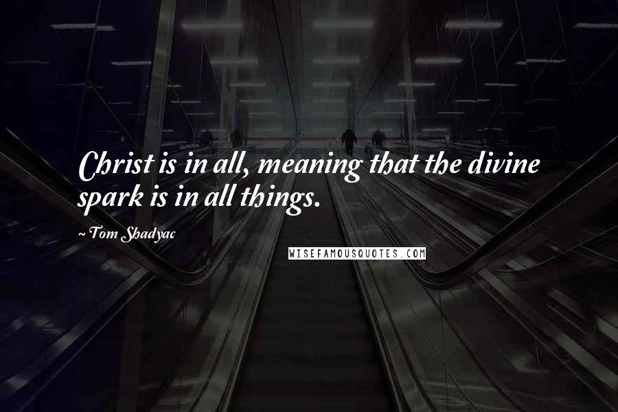 Tom Shadyac Quotes: Christ is in all, meaning that the divine spark is in all things.