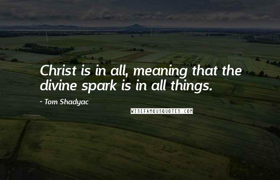Tom Shadyac Quotes: Christ is in all, meaning that the divine spark is in all things.