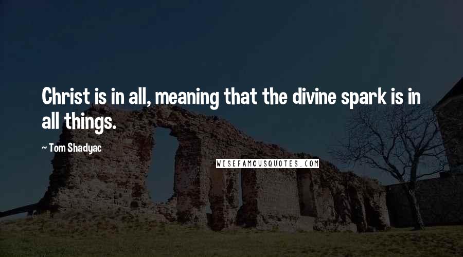 Tom Shadyac Quotes: Christ is in all, meaning that the divine spark is in all things.