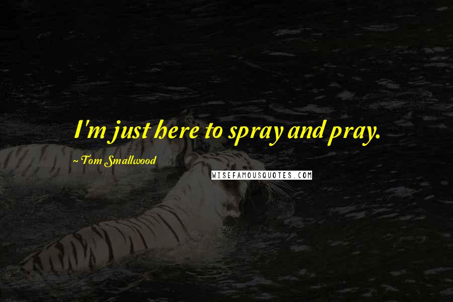 Tom Smallwood Quotes: I'm just here to spray and pray.