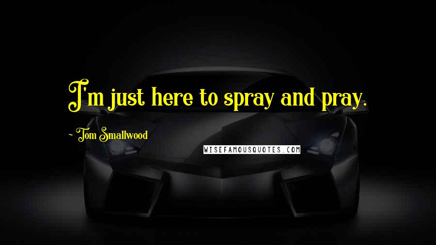 Tom Smallwood Quotes: I'm just here to spray and pray.