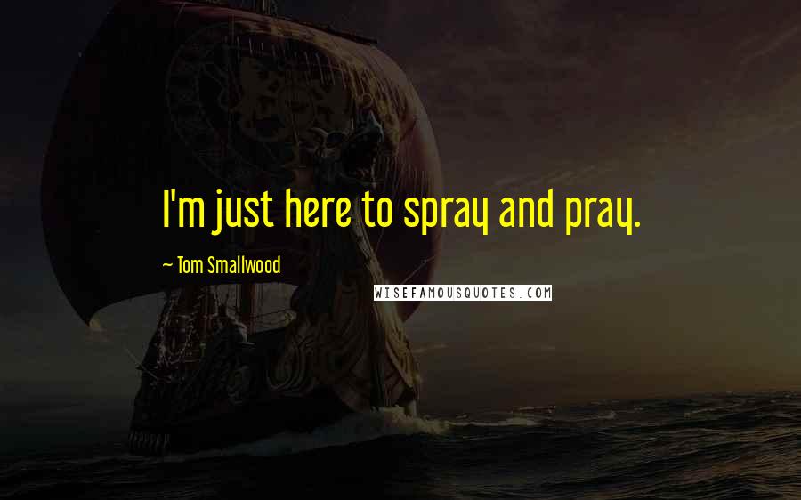 Tom Smallwood Quotes: I'm just here to spray and pray.