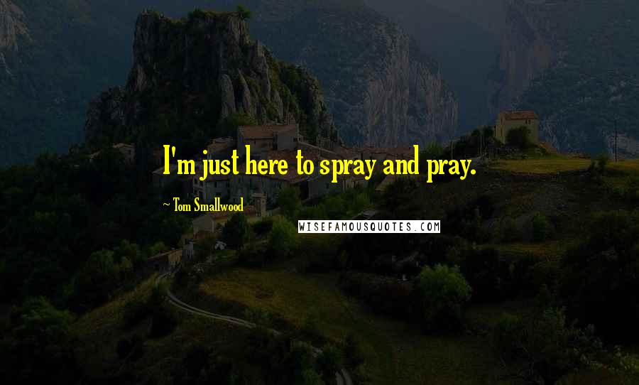 Tom Smallwood Quotes: I'm just here to spray and pray.