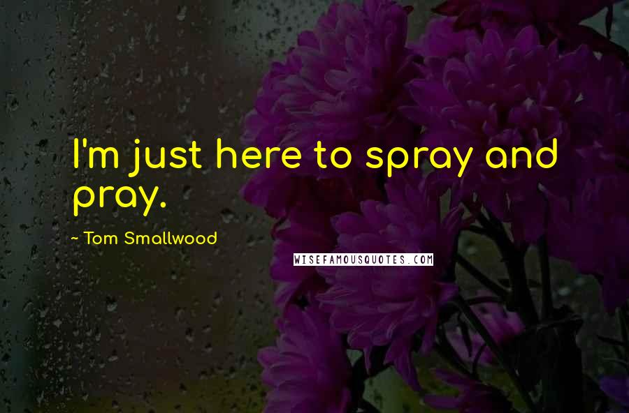 Tom Smallwood Quotes: I'm just here to spray and pray.