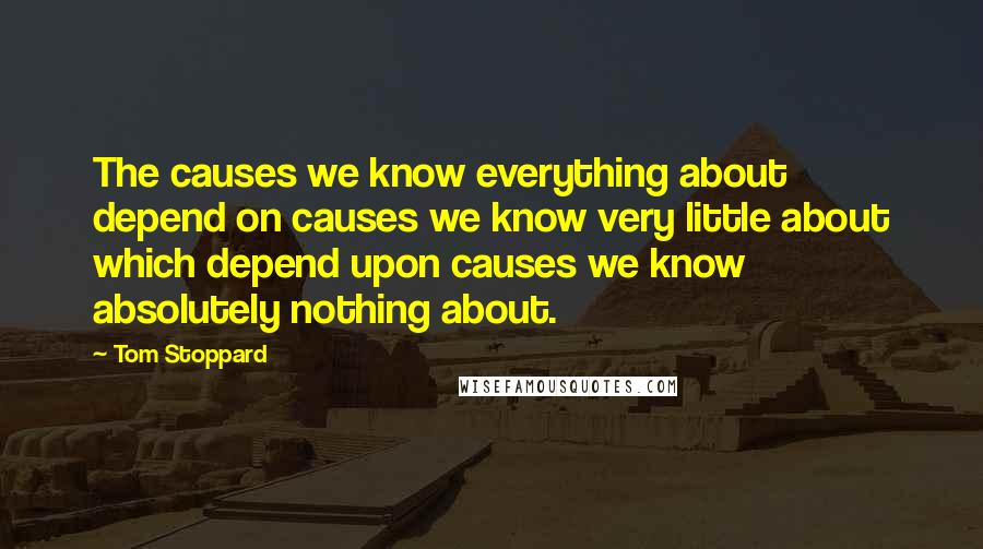 Tom Stoppard Quotes: The causes we know everything about depend on causes we know very little about which depend upon causes we know absolutely nothing about.