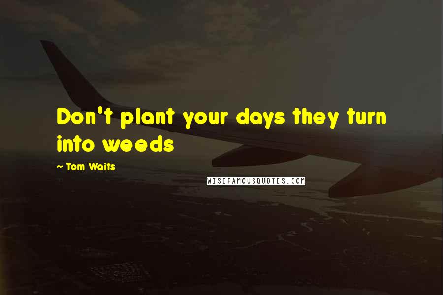 Tom Waits Quotes: Don't plant your days they turn into weeds