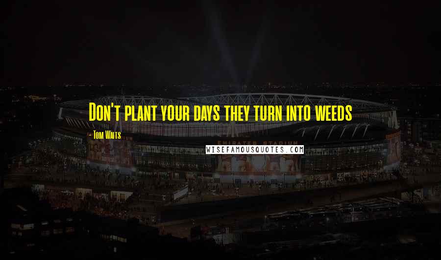 Tom Waits Quotes: Don't plant your days they turn into weeds