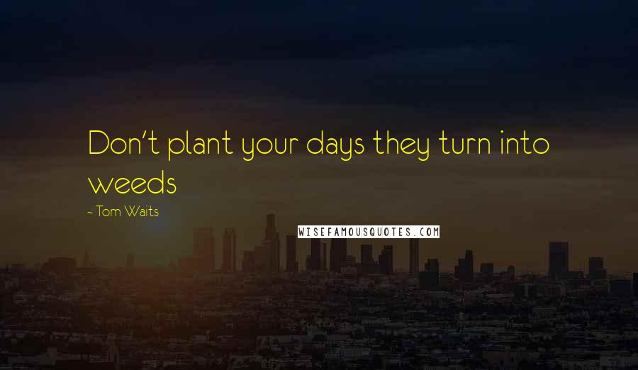 Tom Waits Quotes: Don't plant your days they turn into weeds