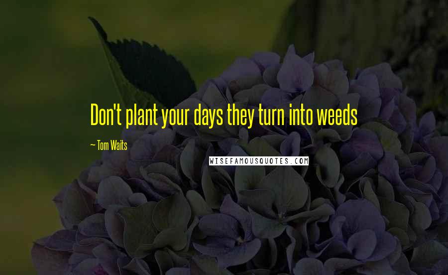 Tom Waits Quotes: Don't plant your days they turn into weeds