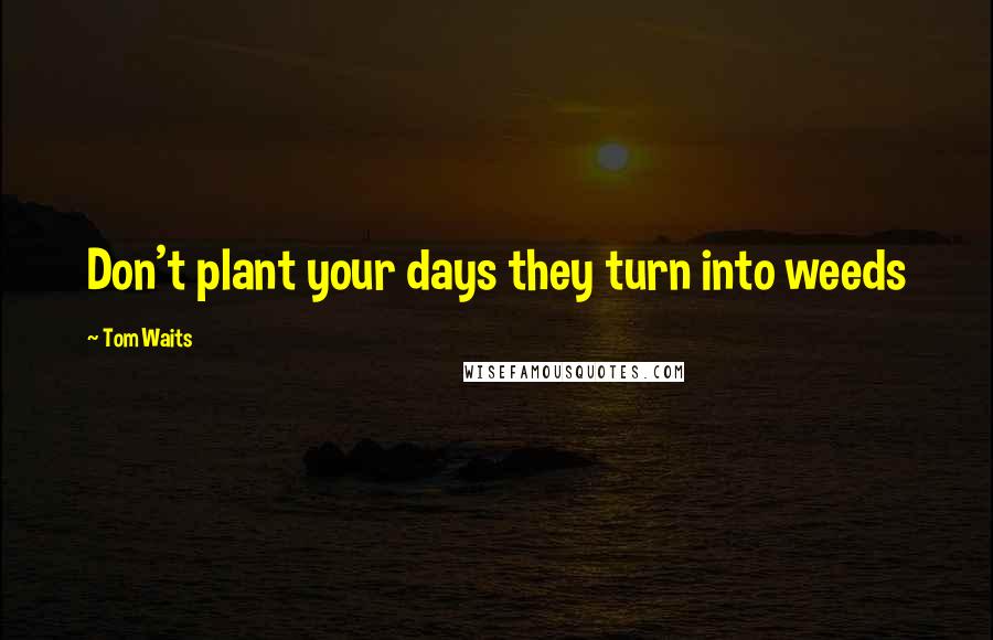 Tom Waits Quotes: Don't plant your days they turn into weeds