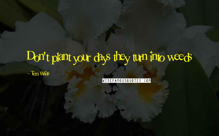 Tom Waits Quotes: Don't plant your days they turn into weeds