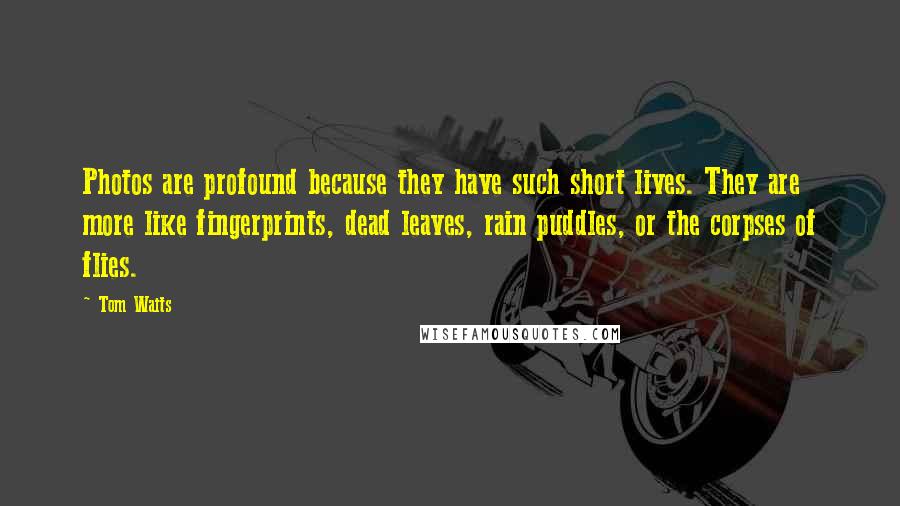 Tom Waits Quotes: Photos are profound because they have such short lives. They are more like fingerprints, dead leaves, rain puddles, or the corpses of flies.