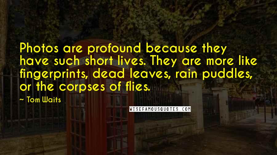 Tom Waits Quotes: Photos are profound because they have such short lives. They are more like fingerprints, dead leaves, rain puddles, or the corpses of flies.