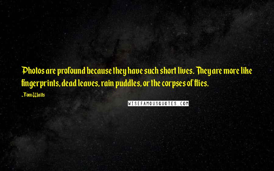 Tom Waits Quotes: Photos are profound because they have such short lives. They are more like fingerprints, dead leaves, rain puddles, or the corpses of flies.