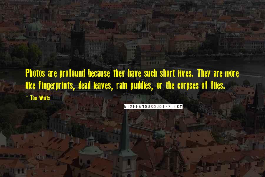 Tom Waits Quotes: Photos are profound because they have such short lives. They are more like fingerprints, dead leaves, rain puddles, or the corpses of flies.