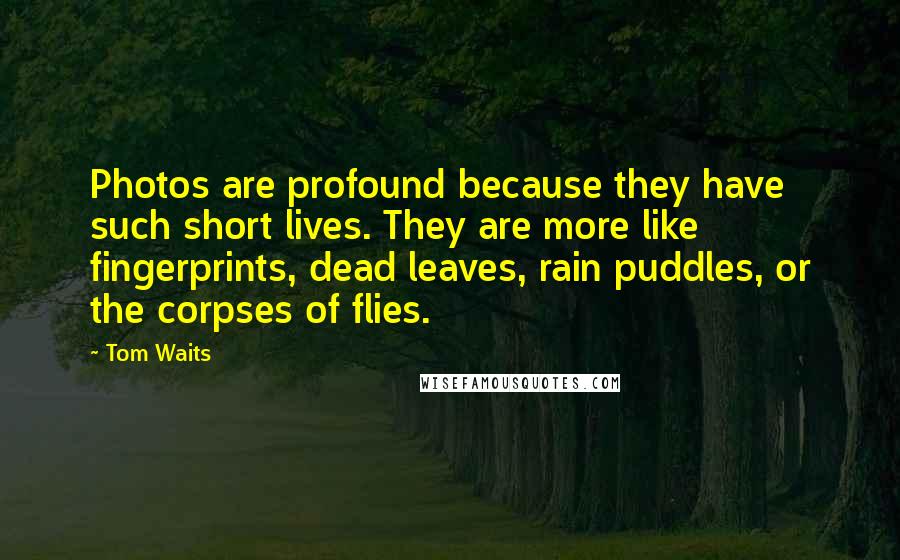 Tom Waits Quotes: Photos are profound because they have such short lives. They are more like fingerprints, dead leaves, rain puddles, or the corpses of flies.