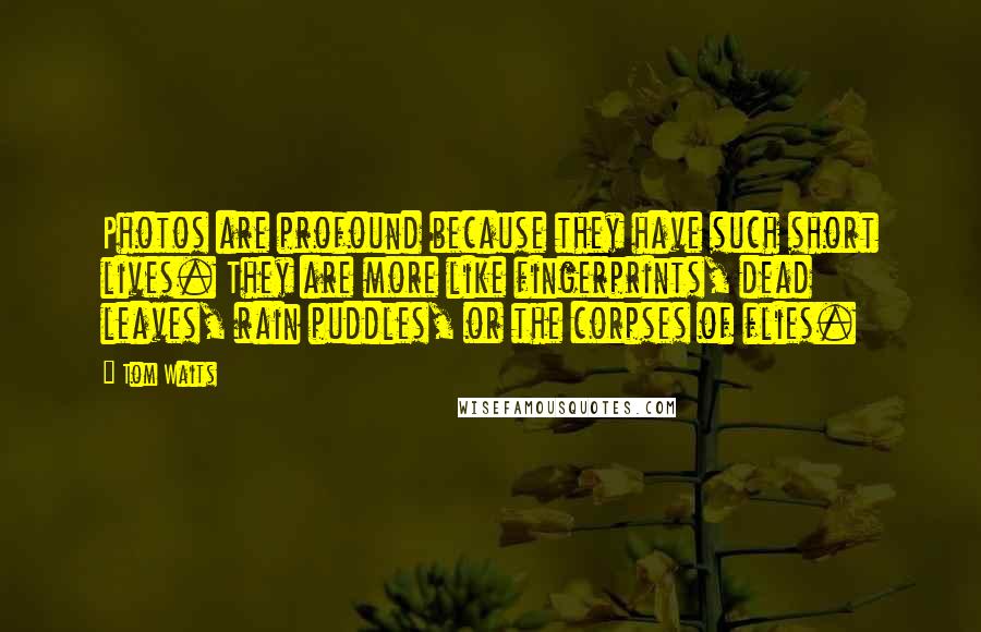 Tom Waits Quotes: Photos are profound because they have such short lives. They are more like fingerprints, dead leaves, rain puddles, or the corpses of flies.